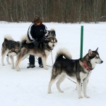 Kennelipäev