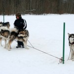Kennelipäev