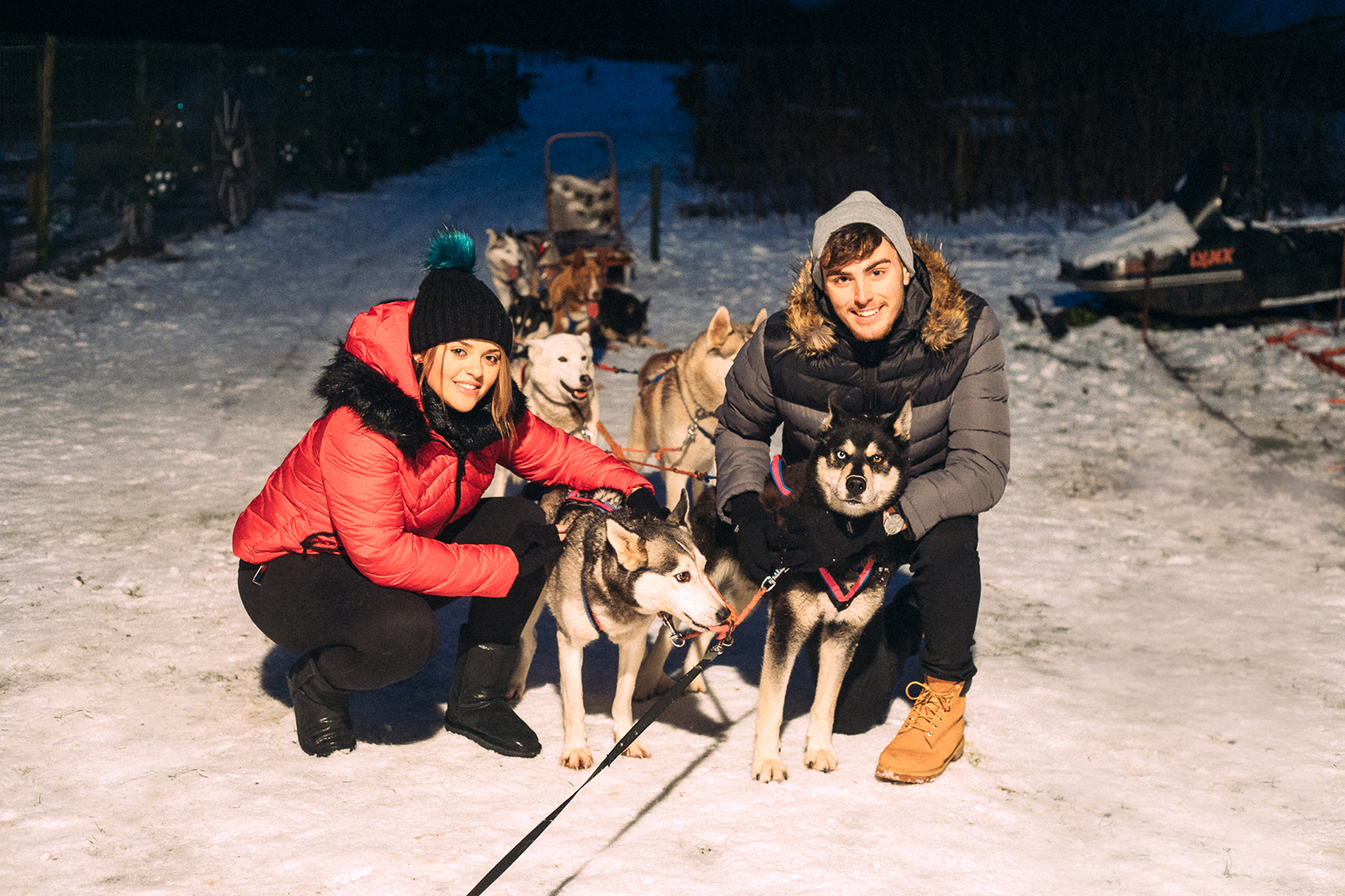 Huskypark dog sledding in Estonia