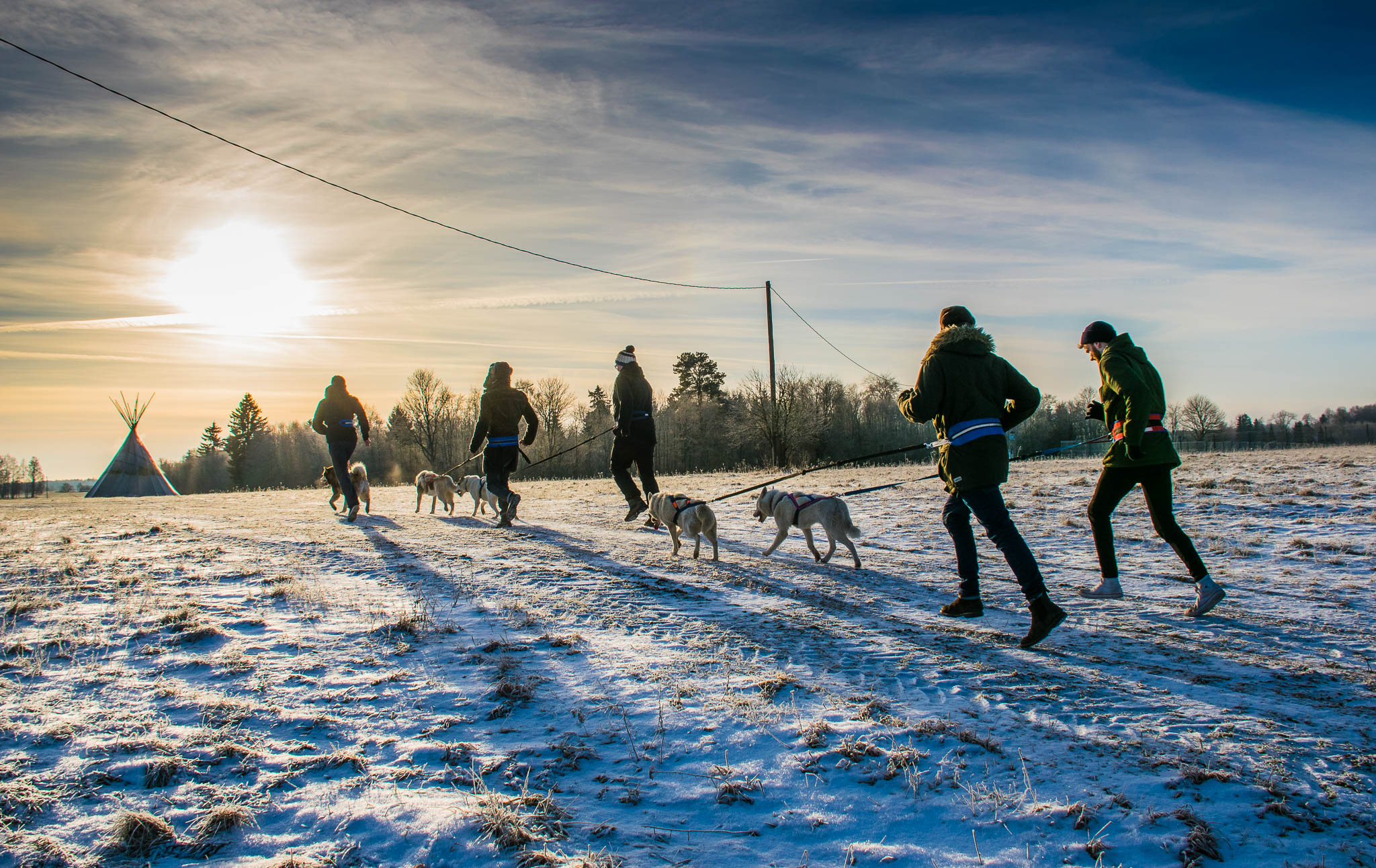 Hellerkantri Huskypark kelgukoerte jalgsimatk Raplamaal