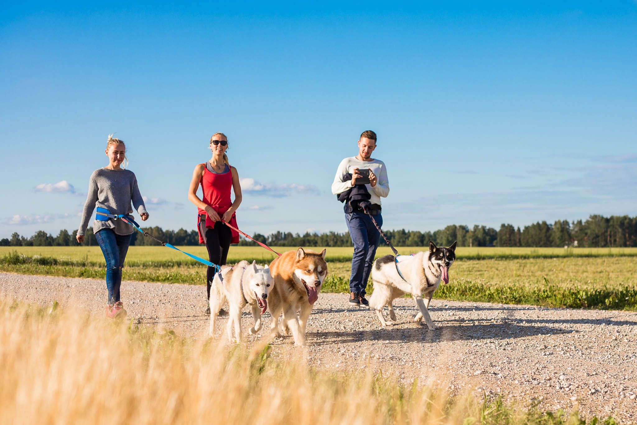 Hellerkantri Huskypargi kelgukoerte jalgsimatk Raplamaal